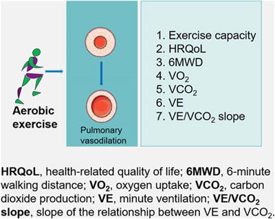 The causes of pulmonary hypertension and the benefits of aerobic exercise for pulmonary hypertension from an integrated perspective